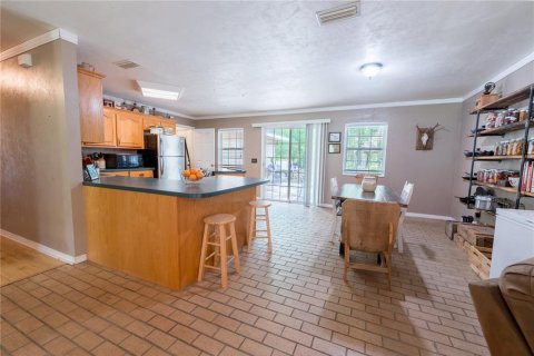 Villa ou maison à vendre à Lake Butler, Floride: 4 chambres, 182.83 m2 № 1658029 - photo 10