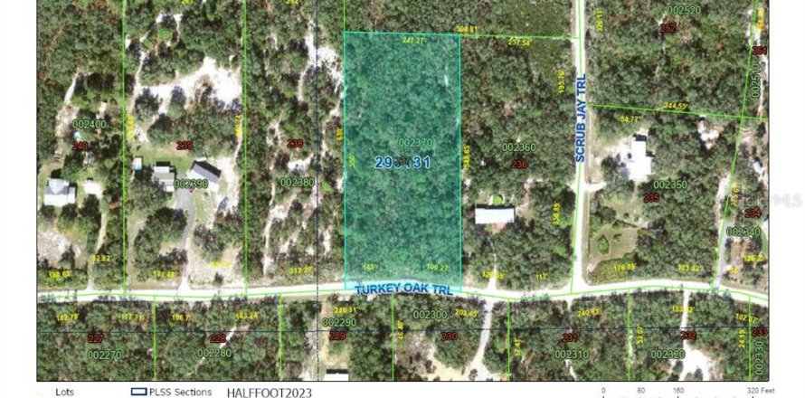 Terreno en Frostproof, Florida № 2214391
