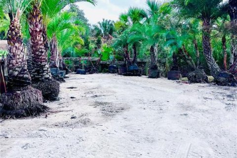 Купить коммерческую недвижимость в Ялаха, Флорида № 2098502 - фото 7