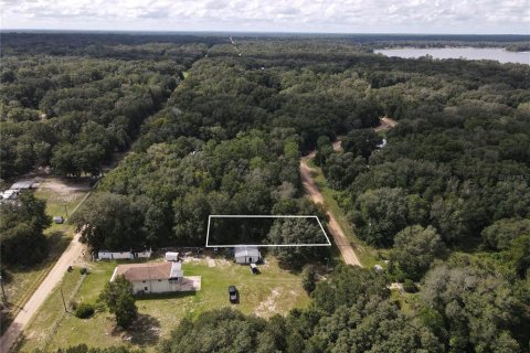 Terrain à Interlachen, Floride № 2358937