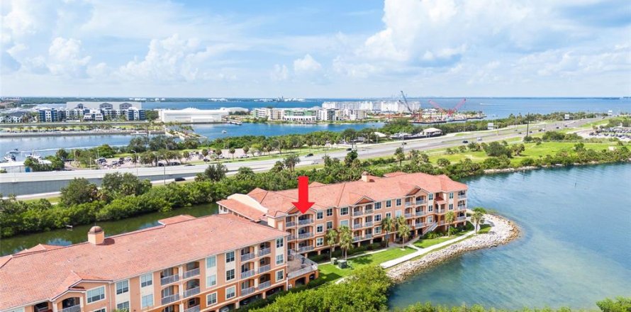 Condo in Tampa, Florida, 1 bedroom  № 1870095