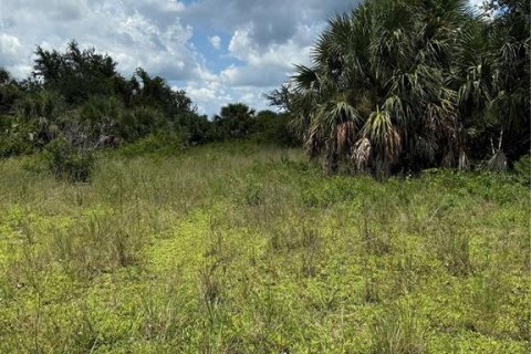 Terrain à vendre à Port Charlotte, Floride № 1908895 - photo 6