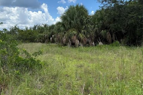 Terrain à vendre à Port Charlotte, Floride № 1908895 - photo 7