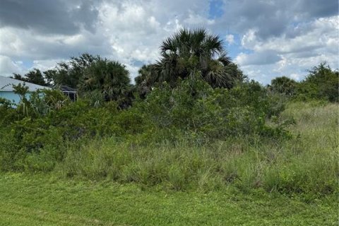 Terrain à vendre à Port Charlotte, Floride № 1908895 - photo 2