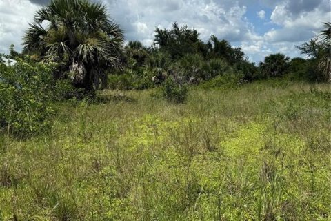 Terrain à vendre à Port Charlotte, Floride № 1908895 - photo 5