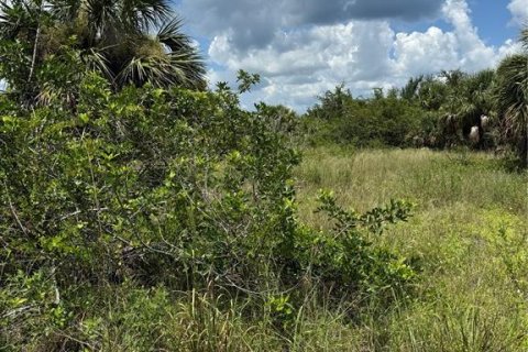 Terrain à vendre à Port Charlotte, Floride № 1908895 - photo 4