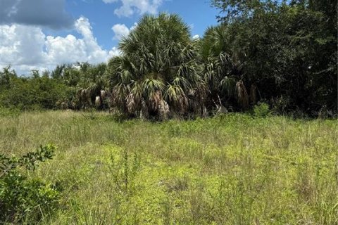 Terrain à vendre à Port Charlotte, Floride № 1908895 - photo 3