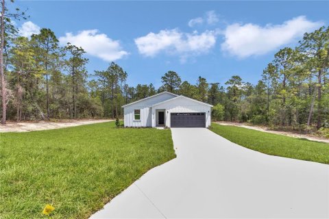 Villa ou maison à Dunnellon, Floride 3 chambres, 143.35 m2 № 2438503