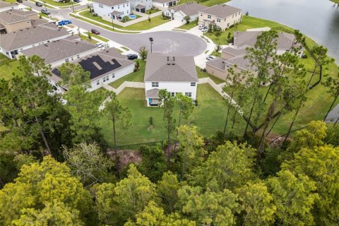 Casa en venta en Land O' Lakes, Florida, 5 dormitorios, 369.29 m2 № 2387373 - foto 6