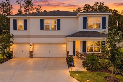 Casa en Land O' Lakes, Florida 5 dormitorios, 369.29 m2 № 2387373