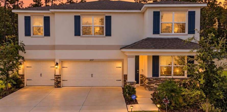 Casa en Land O' Lakes, Florida 5 dormitorios, 369.29 m2 № 2387373