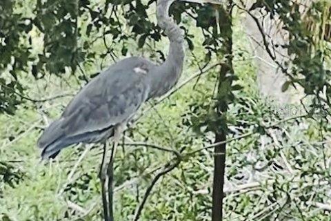 Land in Nokomis, Florida № 1721945 - photo 17