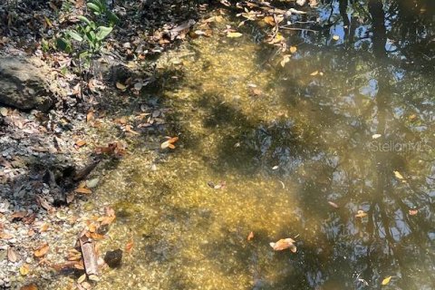 Land in Nokomis, Florida № 1721945 - photo 4