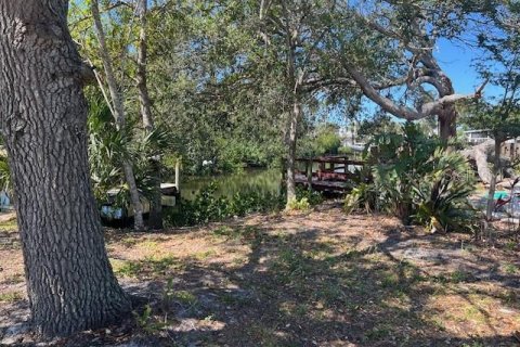 Land in Nokomis, Florida № 1721945 - photo 11