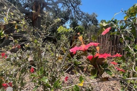 Land in Nokomis, Florida № 1721945 - photo 14