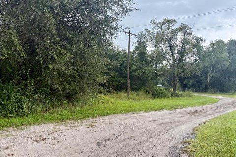 Terrain à vendre à Webster, Floride № 1910367 - photo 7