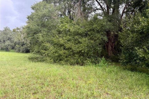Terrain à vendre à Webster, Floride № 1910367 - photo 3