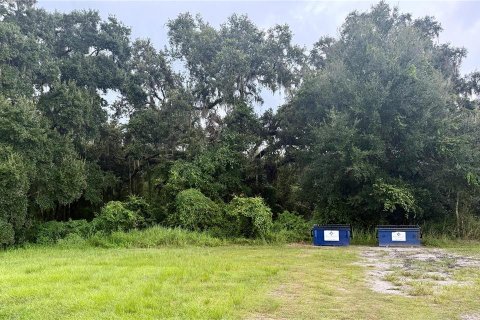 Terrain à vendre à Webster, Floride № 1910367 - photo 6