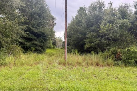 Terrain à vendre à Webster, Floride № 1910367 - photo 8