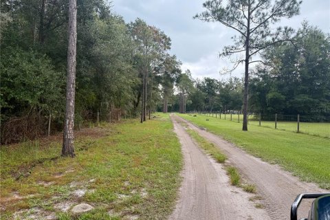 Terrain à vendre à Webster, Floride № 1910367 - photo 5