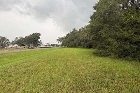 Terrain à vendre à Webster, Floride № 1910367 - photo 1