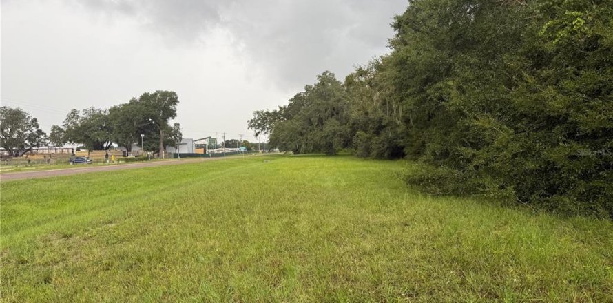 Terreno en Webster, Florida № 1910367
