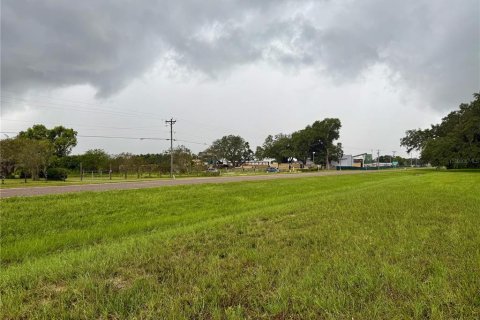 Terrain à vendre à Webster, Floride № 1910367 - photo 2