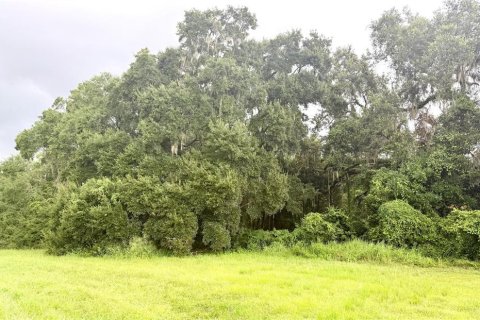 Terrain à vendre à Webster, Floride № 1910367 - photo 9