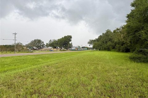 Terrain à vendre à Webster, Floride № 1910367 - photo 4