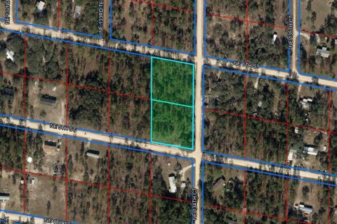 Land in Williston, Florida № 1883393 - photo 1