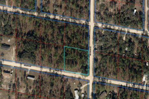 Land in Williston, Florida № 1883393 - photo 3