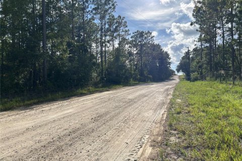 Land in Williston, Florida № 1883393 - photo 5