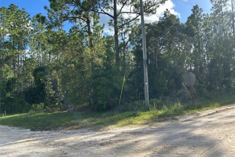 Land in Williston, Florida № 1883393 - photo 6