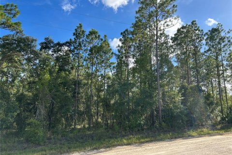 Land in Williston, Florida № 1883393 - photo 4