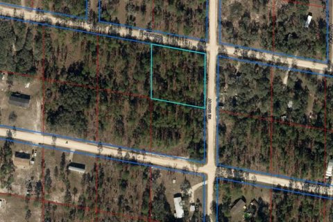 Land in Williston, Florida № 1883393 - photo 2