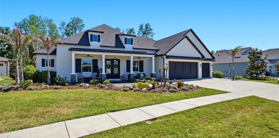 Villa ou maison à Land O' Lakes, Floride 5 chambres, 365.48 m2 № 2142540