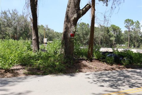 Terreno en venta en Kissimmee, Florida № 2167127 - foto 2