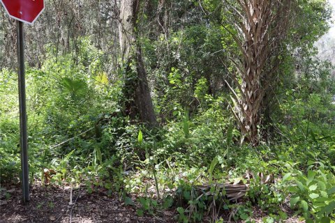 Terreno en venta en Kissimmee, Florida № 2167127 - foto 8