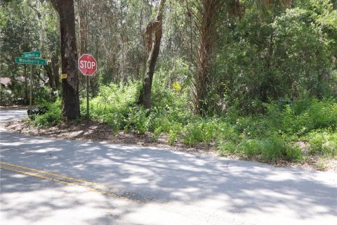 Terreno en venta en Kissimmee, Florida № 2167127 - foto 3