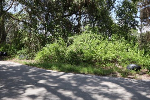 Terreno en venta en Kissimmee, Florida № 2167127 - foto 10