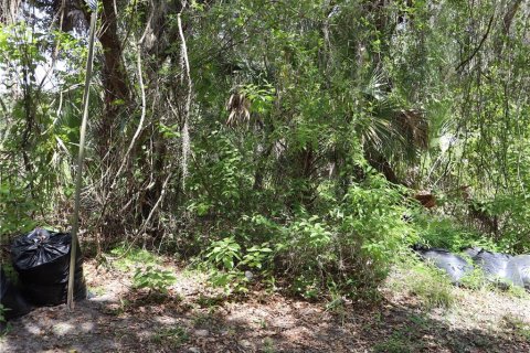 Terreno en venta en Kissimmee, Florida № 2167127 - foto 11