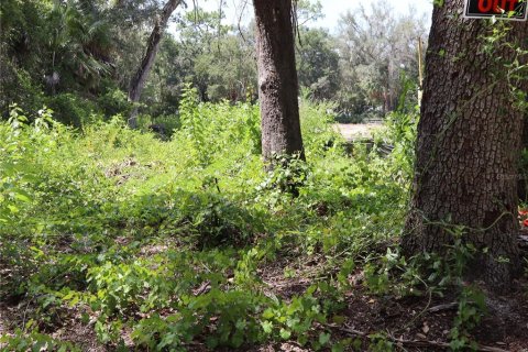 Terreno en venta en Kissimmee, Florida № 2167127 - foto 5