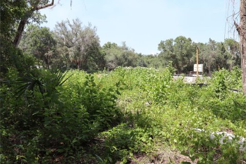 Terreno en venta en Kissimmee, Florida № 2167127 - foto 7