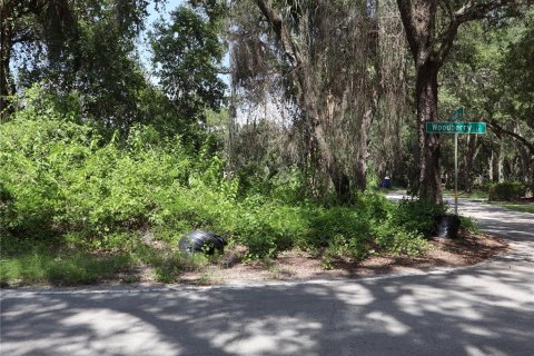 Terreno en venta en Kissimmee, Florida № 2167127 - foto 9
