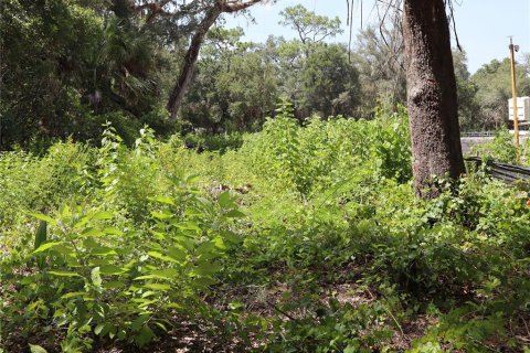 Terreno en venta en Kissimmee, Florida № 2167127 - foto 6