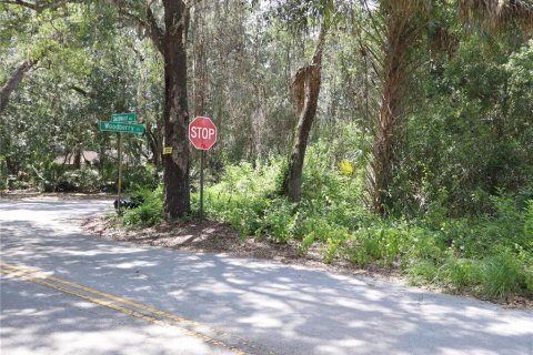 Terreno en venta en Kissimmee, Florida № 2167127 - foto 4