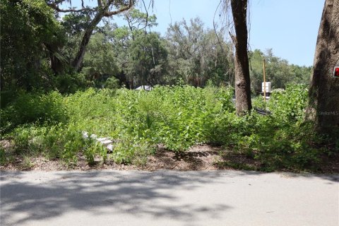 Terreno en Kissimmee, Florida № 2167127