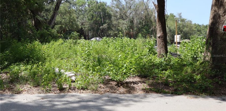 Terreno en Kissimmee, Florida № 2167127