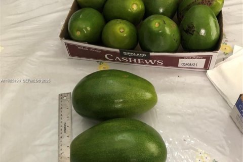 Купить виллу или дом в Хайалиа, Флорида 4 спальни, 166.39м2, № 2027014 - фото 13