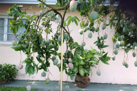 Купить виллу или дом в Хайалиа, Флорида 4 спальни, 166.39м2, № 2027014 - фото 14